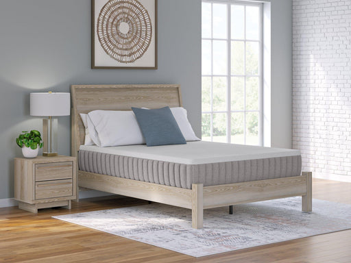 Terra Sleep Firm Mattress -  Chapter 11 Furniture (Lewiston, Maine)