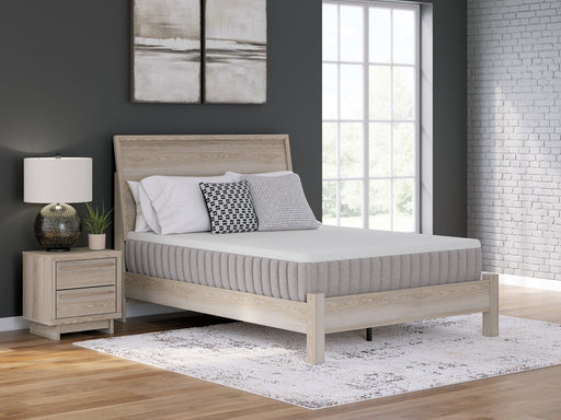 Terra Sleep Medium Mattress -  Chapter 11 Furniture (Lewiston, Maine)