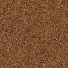 Carianna Sofa -  Chapter 11 Furniture (Lewiston, Maine)