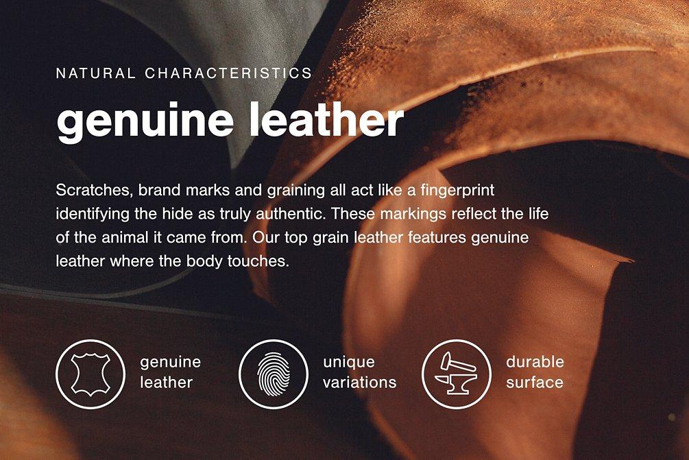 Carianna Sofa Sleeper -  Chapter 11 Furniture (Lewiston, Maine)