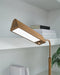 Yafe Desk Lamp -  Chapter 11 Furniture (Lewiston, Maine)