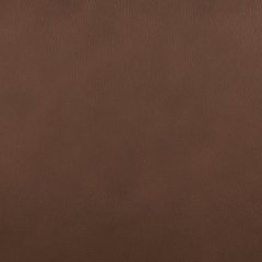 Pincara Power AutoGlide Recliner -  Chapter 11 Furniture (Lewiston, Maine)